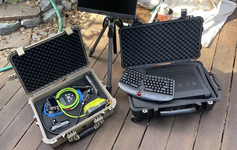 Portable Raman system